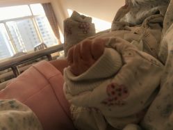 -上海市长宁区妇幼保健院