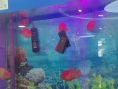 -雅悦齿科(顾村公园店)