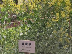 -天毓山庄·餐厅