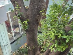 -白云宾馆·白云宴餐厅