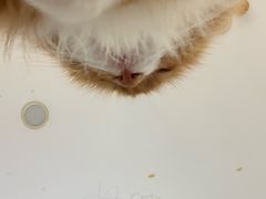 -平行世界·猫咖(首经贸店)