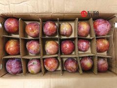 -麦当劳(金桥店)
