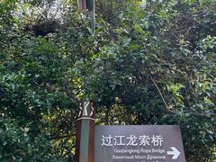 -亚龙湾热带天堂森林公园