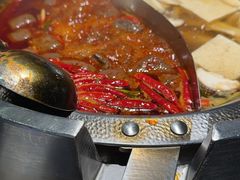 -辣伍鲜毛肚老火锅(元一店)