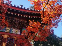 -香山公园