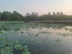 -太阳宫公园