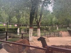 -青藏高原野生动物园