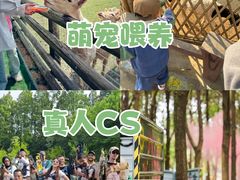 -上海山野camping·户外天幕烧烤·团建拓展营地
