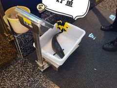 -江南鱼捞(北仑银泰城店)