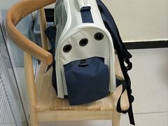 -全心全意连锁动物医院·微创中心·内科急重症·心脏专科(丰管路店)