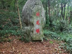 -上海佘山国家森林公园天马山园