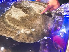 -盒马鲜生(莱蒙都会店)