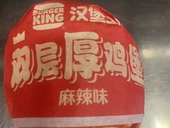 -汉堡王(朝阳路红星美凯龙店)