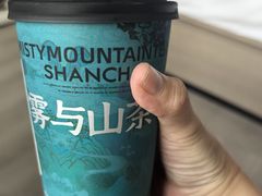 -雾与山茶(大禹城店)