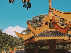-金砂公园