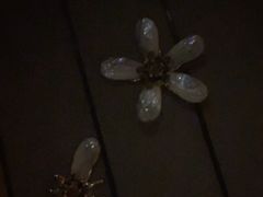-美姿水荟美食水疗