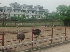 -西安秦岭野生动物园