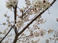 -汉长安城未央宫国家考古遗址公园