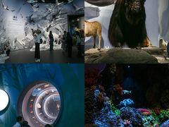 -中国湿地博物馆