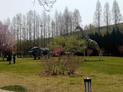 -棒棰岛宾馆景区