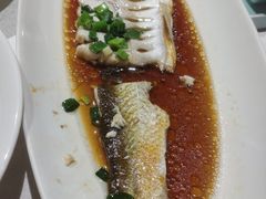 -金美华轩(东方路齐鲁店)