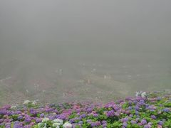 -鼓岭旅游度假区