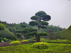 -南宁南湖公园