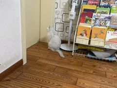 -宠颐生宠物医院·异宠猫科内科·诊疗中心宠巢店