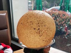 -吴越荣记苏州菜·松鼠桂鱼100%活鱼现做(斜塘老街店)