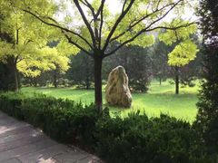 -大槐树寻根祭祖园