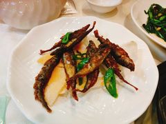 香煎多春鱼-清新鸡沙田乳鸽店(金融店)