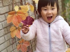 -三里屯东五街银杏大道