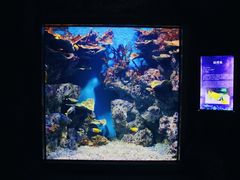 -福州罗源湾海洋世界旅游区