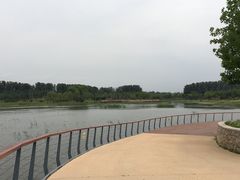 -东郊湿地公园
