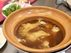 -大中鱼翅 Taitong Shark Fin