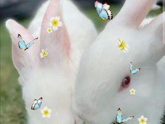 -前小桔亲子创意农场·草莓采摘·露营烧烤