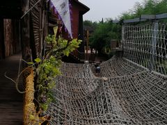 -北京呀路古热带植物园