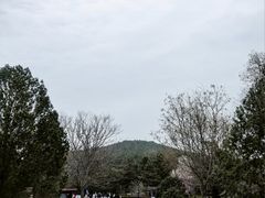 -秦始皇帝陵博物院-丽山园