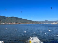 -海埂大坝