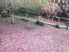 -大连植物园