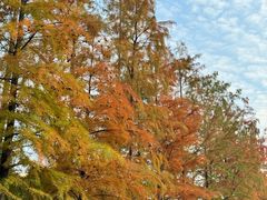 -秀沿路(地铁站)