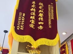 -芭比堂动物医院·心脏科·老年急重症·夜诊·吉雅分院