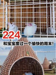 点击看大图 -小蜜蜂农场(凯德七宝购物广场店)