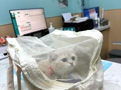 -爱侣宠医·鹦鹉专科·小型哺乳类·异宠专科(灵石路店)