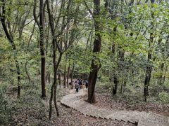 -上海佘山国家森林公园天马山园