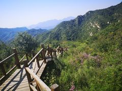 -大岭沟猕猴桃谷风景区