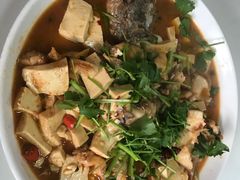 红烧狗鱼-煲来饱去冷水鱼