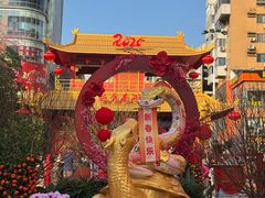 -越秀西湖花市(广州城市广场花卉店)