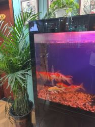 -尚逸男士理发馆·专注男发