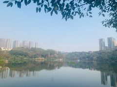-重庆彩云湖湿地公园